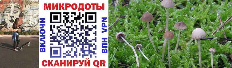 Галлюциногенные грибы MAGIC MUSHROOMS даркнет сайт Гусев