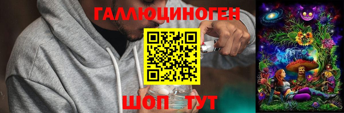 Гусев  Галлюциногенные грибы Psilocybine cubensis  Вход с VPN  Псилоцибиновые грибы Psilocybe 