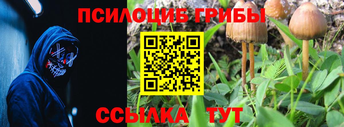Псилоцибиновые грибы MAGIC MUSHROOMS Гусев